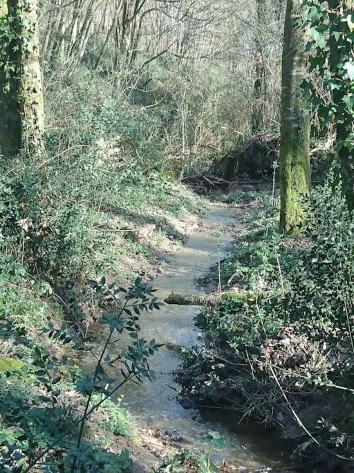 Location meublée au milieu d'un écrin de verdure Aux vieux fours Noaillac Exterior foto