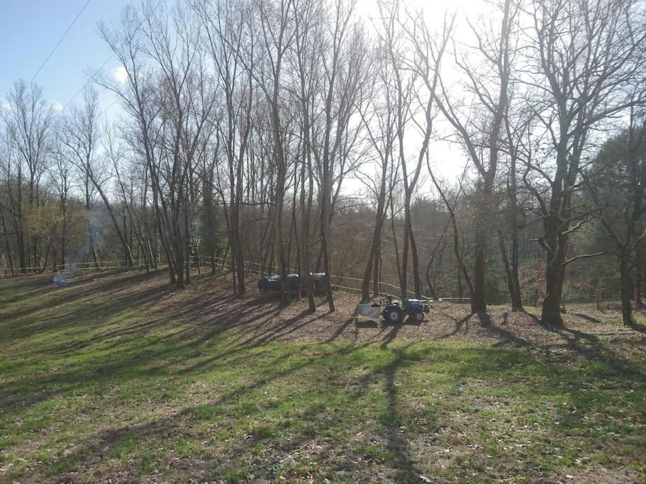 Location meublée au milieu d'un écrin de verdure Aux vieux fours Noaillac Exterior foto