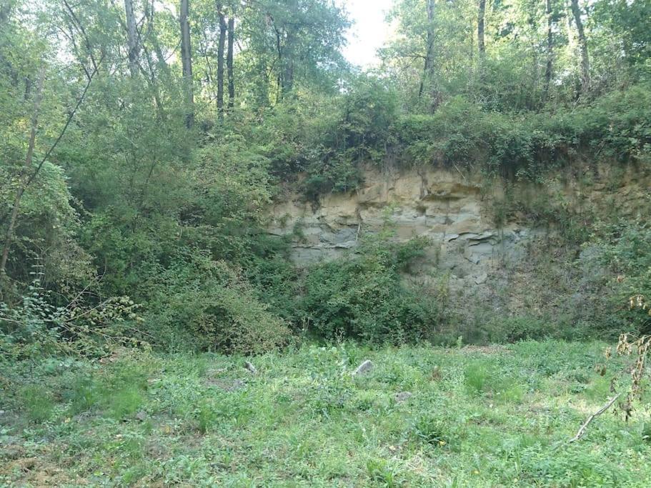 Location meublée au milieu d'un écrin de verdure Aux vieux fours Noaillac Exterior foto