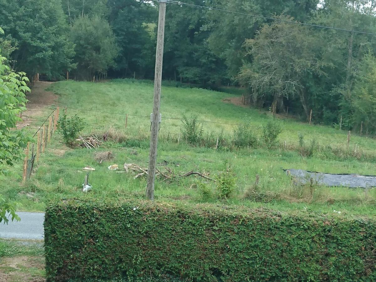 Location meublée au milieu d'un écrin de verdure Aux vieux fours Noaillac Exterior foto